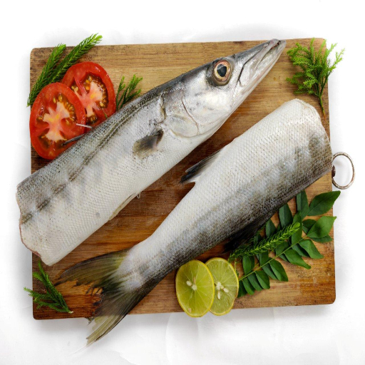 Barracuda / Sheela