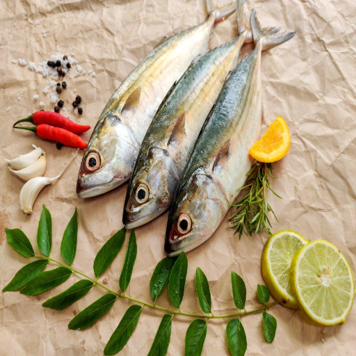 Mackerel / Ayala